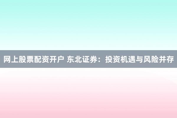 网上股票配资开户 东北证券：投资机遇与风险并存