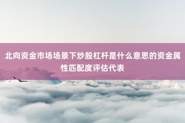 北向资金市场场景下炒股杠杆是什么意思的资金属性匹配度评估代表