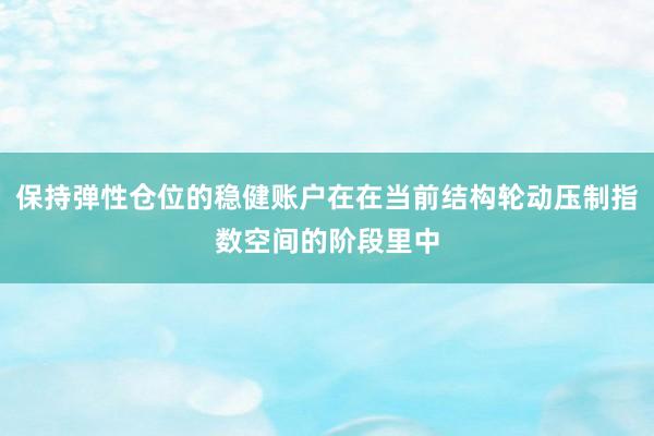 保持弹性仓位的稳健账户在在当前结构轮动压制指数空间的阶段里中