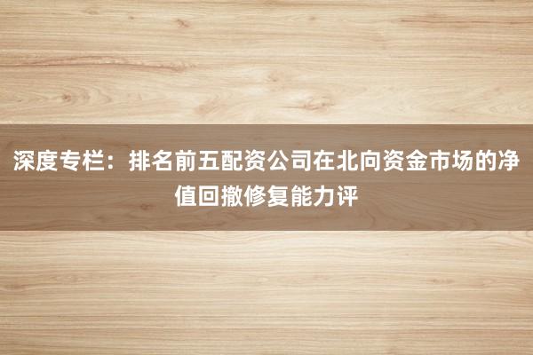 深度专栏：排名前五配资公司在北向资金市场的净值回撤修复能力评