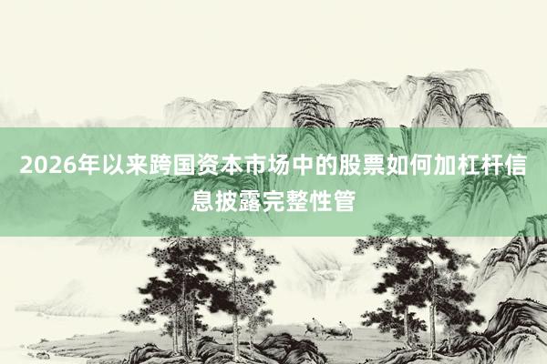 2026年以来跨国资本市场中的股票如何加杠杆信息披露完整性管