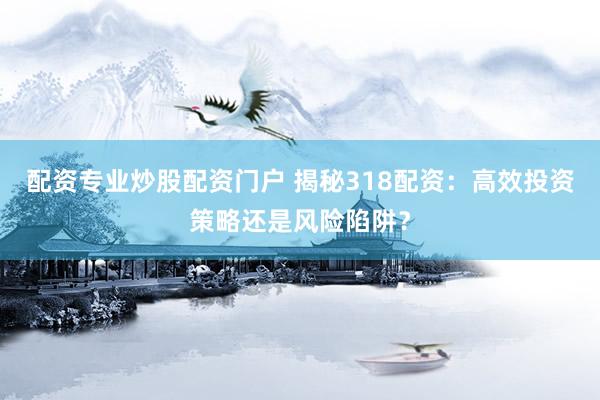 配资专业炒股配资门户 揭秘318配资：高效投资策略还是风险陷阱？