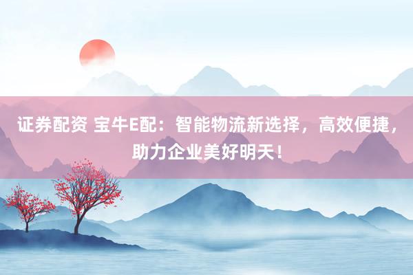 证券配资 宝牛E配：智能物流新选择，高效便捷，助力企业美好明天！